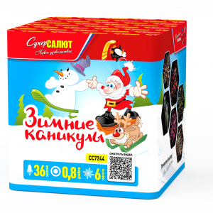 Зимние каникулы 