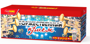 Торжественный прием