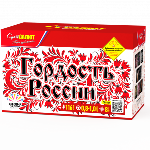 Гордость России!
