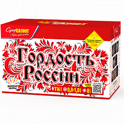 Гордость России!