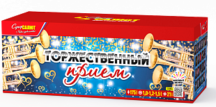 Торжественный прием