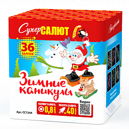 Зимние каникулы 